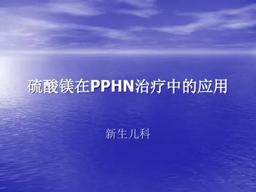 硫酸镁治疗PPHN精品PPT课件