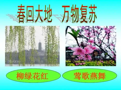 一年级下册《春雨的色彩》PPT课件