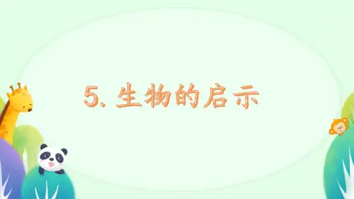 苏教版(2017)科学五年级下册生物的启示(课件)(共35张PPT).ppt
