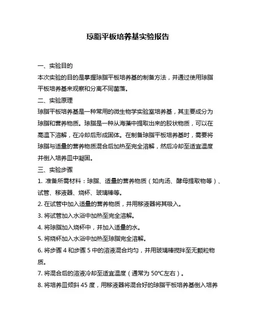 琼脂平板培养基实验报告