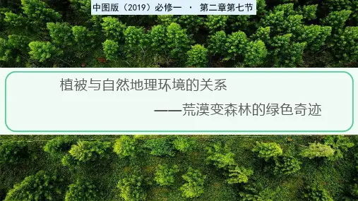 2.4植被与自然环境的关系课件 高一地理中图版(2019)必修第一册