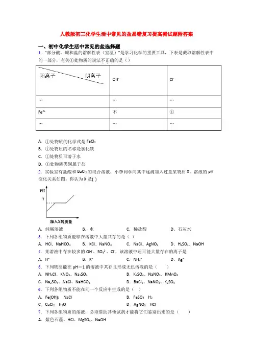 人教版初三化学生活中常见的盐易错复习提高测试题附答案
