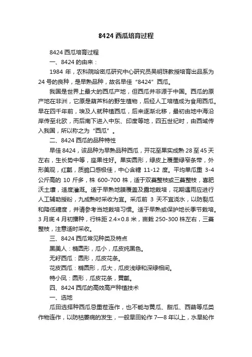 8424西瓜培育过程