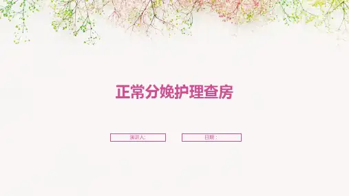 正常分娩护理查房