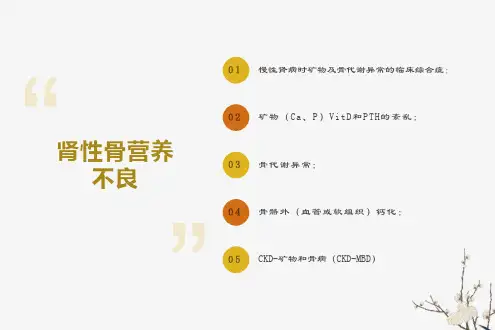 肾性骨营养不良