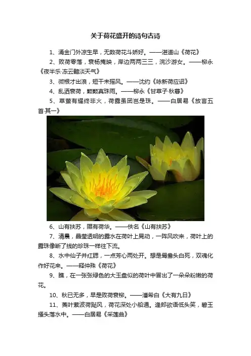 关于荷花盛开的诗句古诗