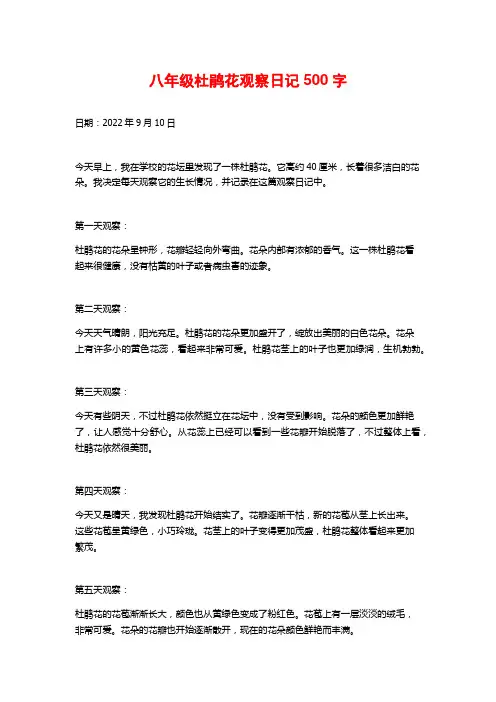 八年级杜鹃花观察日记500字