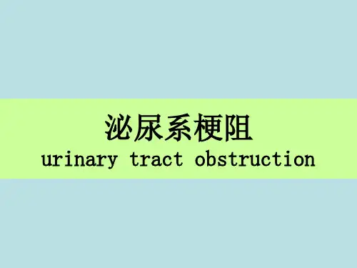 泌尿系梗阻