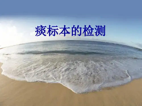 痰标本的检测