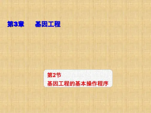 【高中生物】基因工程的基本操作程序课件+高二下学期生物人教版选择性必修3