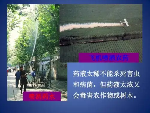 《物质在水中的溶解》课件5(7页)(浙教版八年级上)