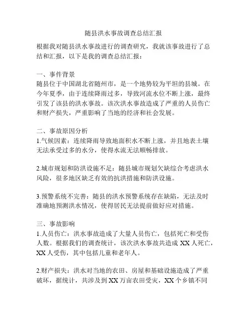 随县洪水事故调查总结汇报