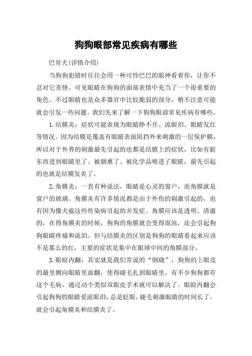 狗狗眼部常见疾病有哪些
