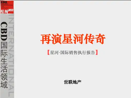 房地产策划案例星河国际