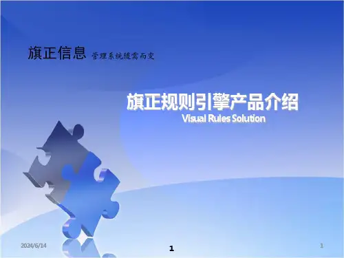 Visual-Rules规则引擎产品介绍-PPT课件