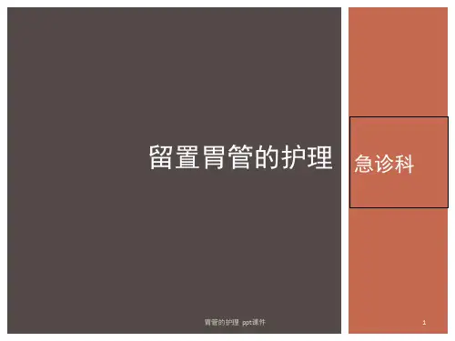 胃管的护理 ppt课件