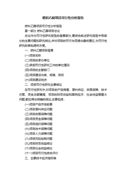 燃料乙醇项目可行性分析报告