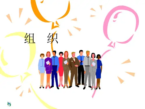 【培训课件】组织基础知识培训.pptx