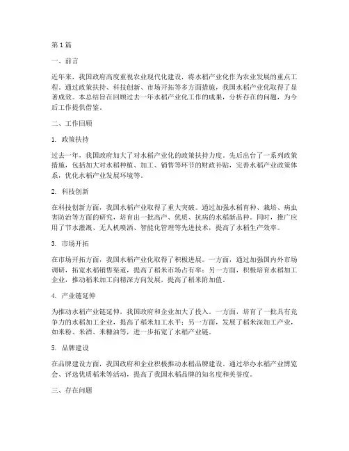 水稻产业化工作总结范文(3篇)