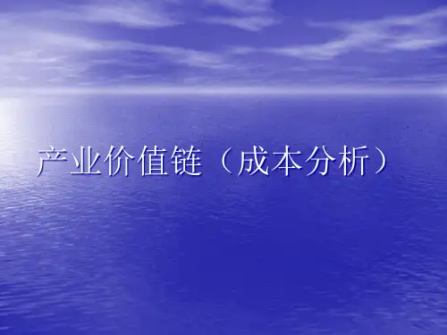 产业价值链分析.pptx