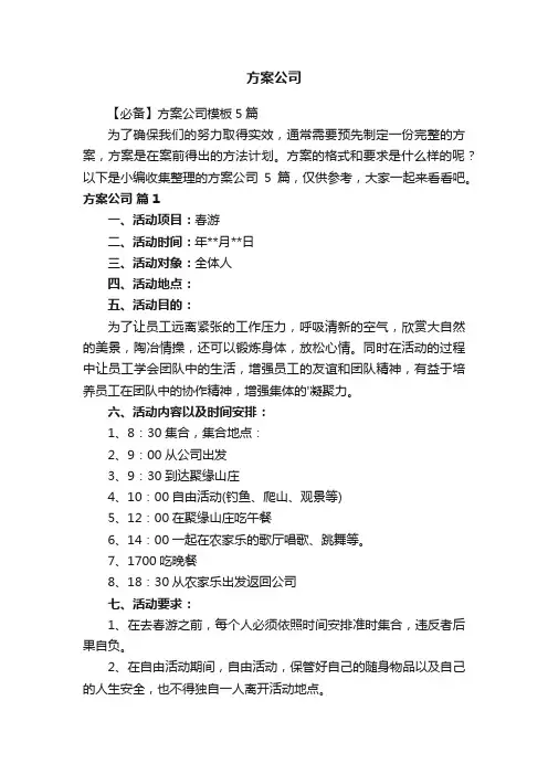 【必备】方案公司模板5篇