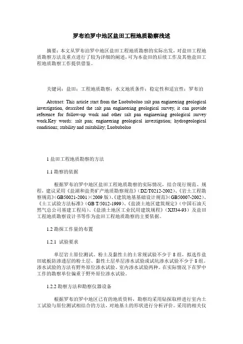 罗布泊罗中地区盐田工程地质勘察浅述