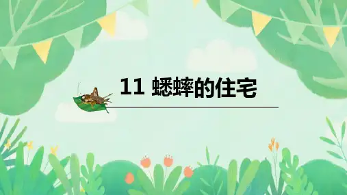 部编版语文四年级上册11《蟋蟀的住宅》课件(共20张PPT)