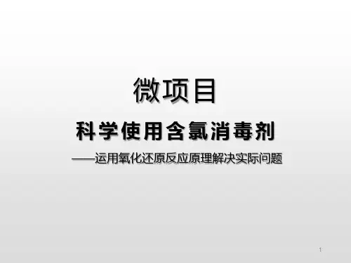 高一化学课件 科学使用含氯消毒剂