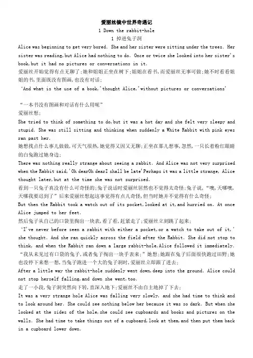 爱丽丝镜中世界奇遇记