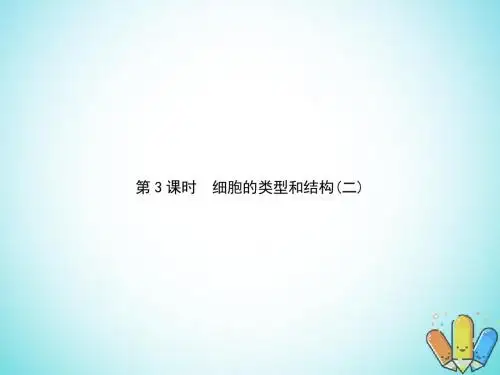 2018版高中生物第3单元细胞的结构和功能第3课时细胞的类型和结构二复习课件苏教版必修1
