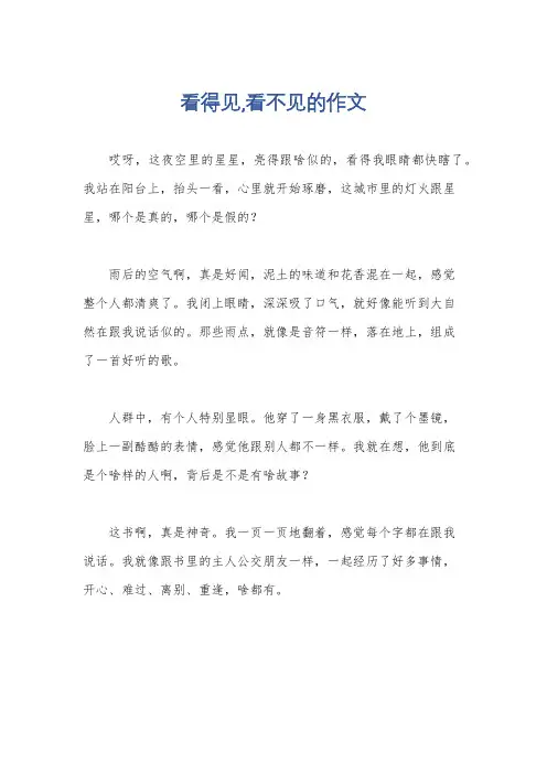 看得见,看不见的作文