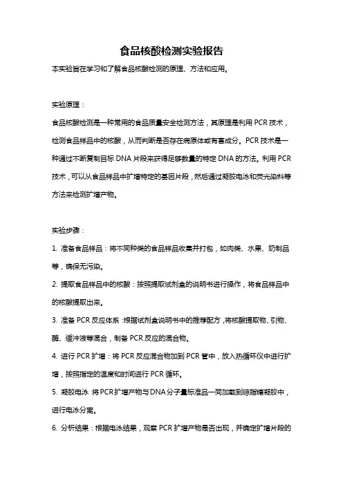 食品核酸检测实验报告