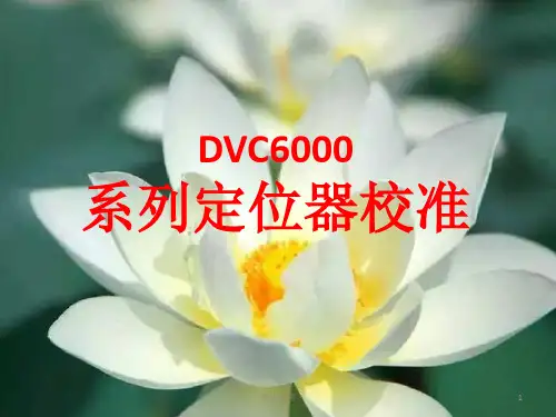 DVC6000系列定位器475手操器调试[专业参考]