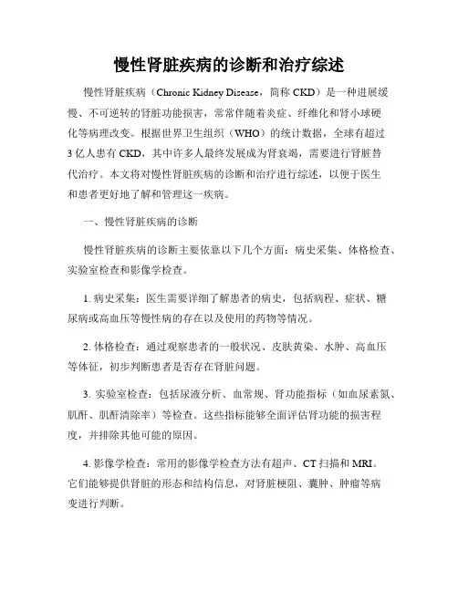 慢性肾脏疾病的诊断和治疗综述