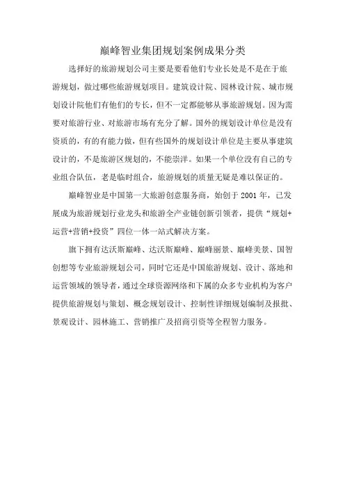 巅峰智业集团规划案例成果分类
