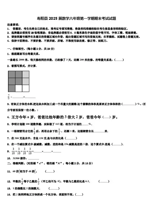 寿阳县2025届数学六年级第一学期期末考试试题含解析