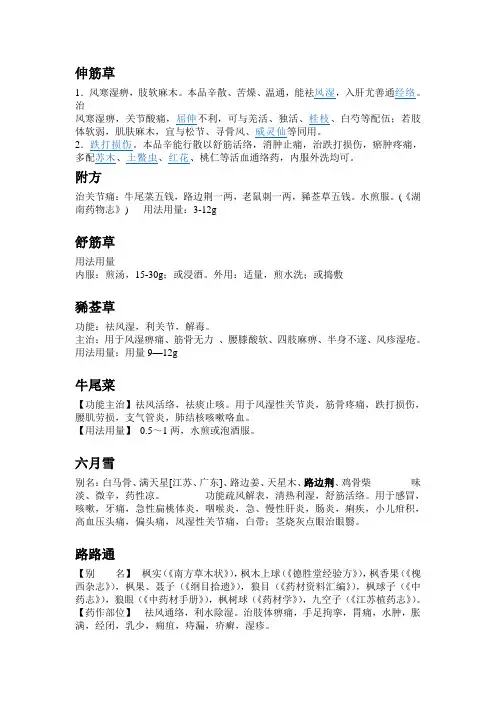 伸筋草