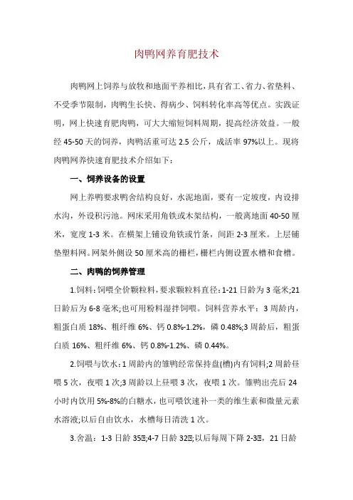 肉鸭网养育肥技术