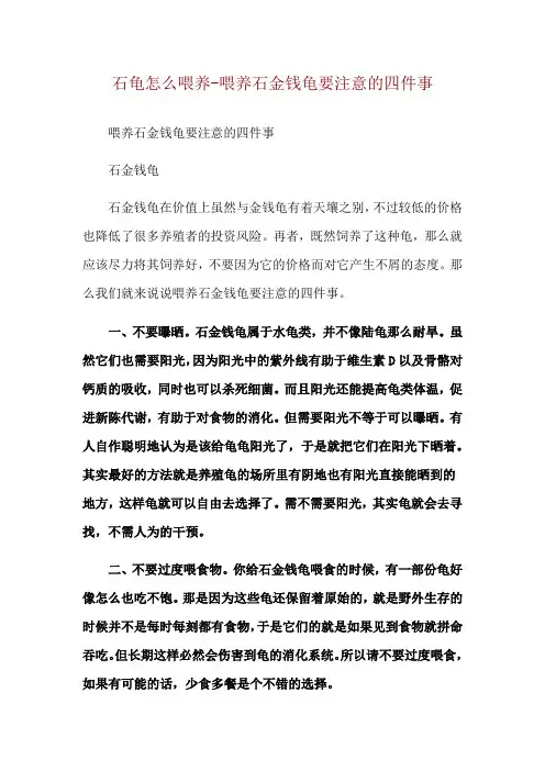 石龟怎么喂养-喂养石金钱龟要注意的四件事