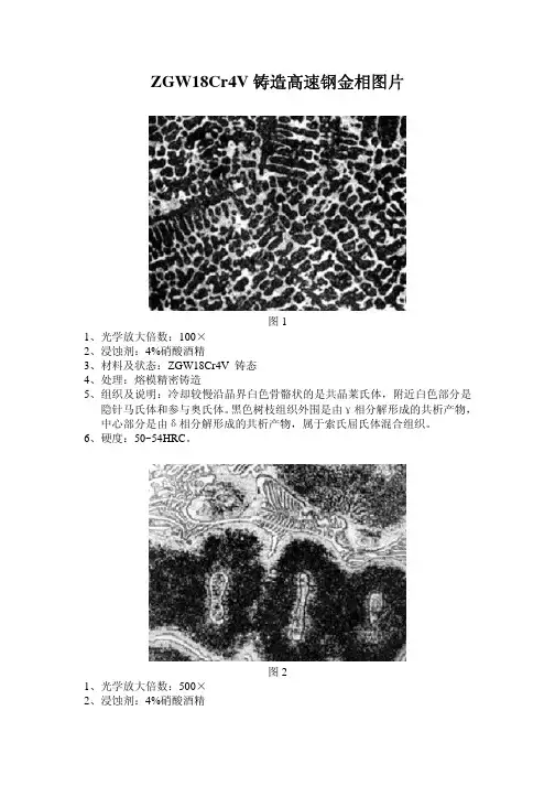 铸造高速钢金相图谱