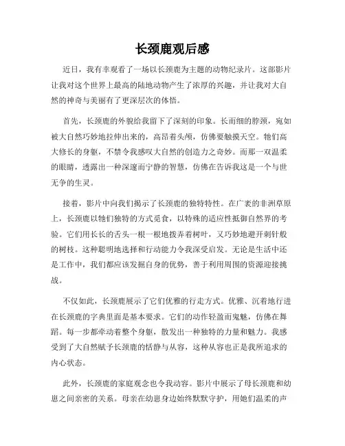 长颈鹿观后感