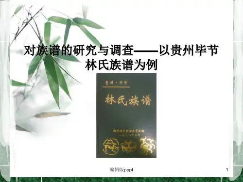 对族谱的研究与调查