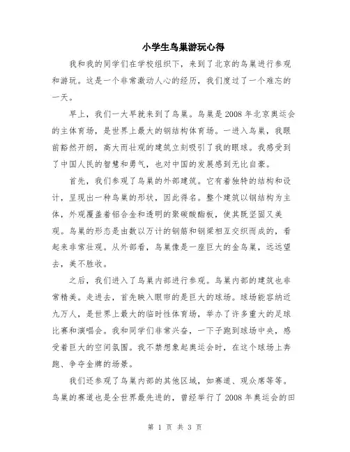 小学生鸟巢游玩心得