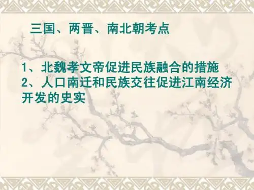 三国、两晋、南北朝考点