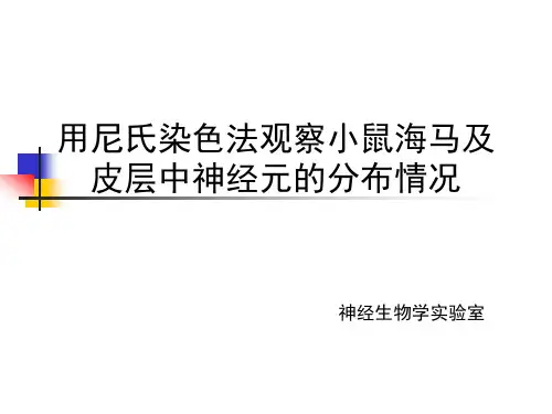 尼氏染色-全面