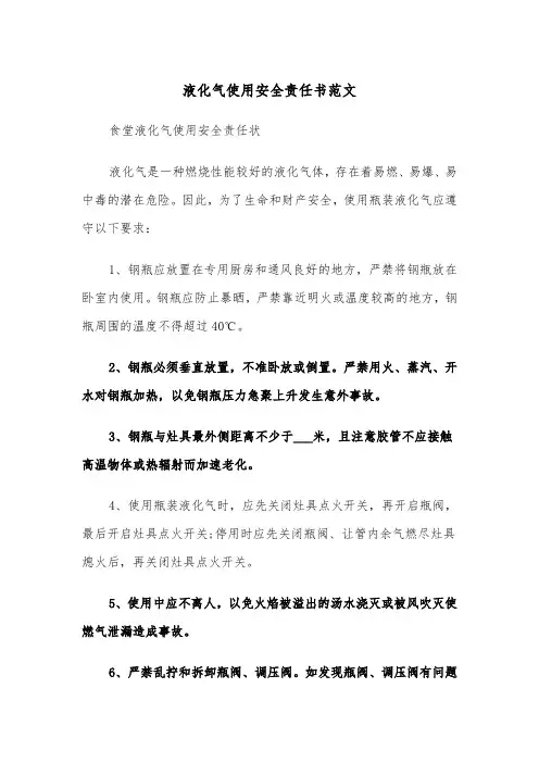 液化气使用安全责任书范文（2篇）
