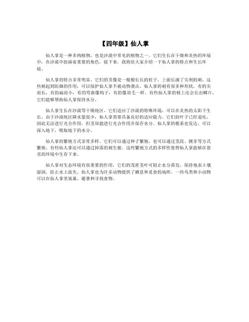【四年级】仙人掌