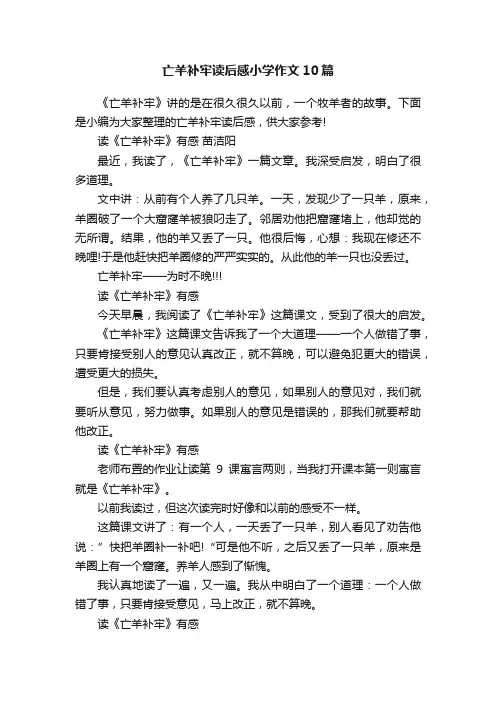 亡羊补牢读后感小学作文10篇