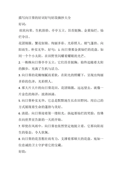描写向日葵的好词好句好段摘抄大全