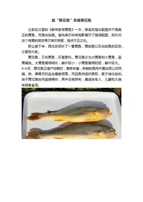 此“黄花鱼”非彼黄花鱼
